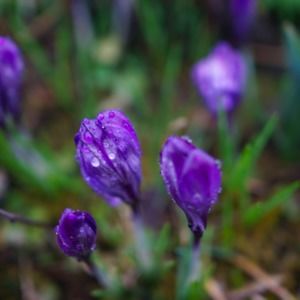 Meet your Posher, Annaka